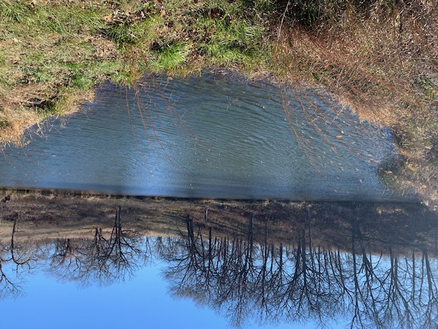 Image of farm pond that we will use for the fishing outing