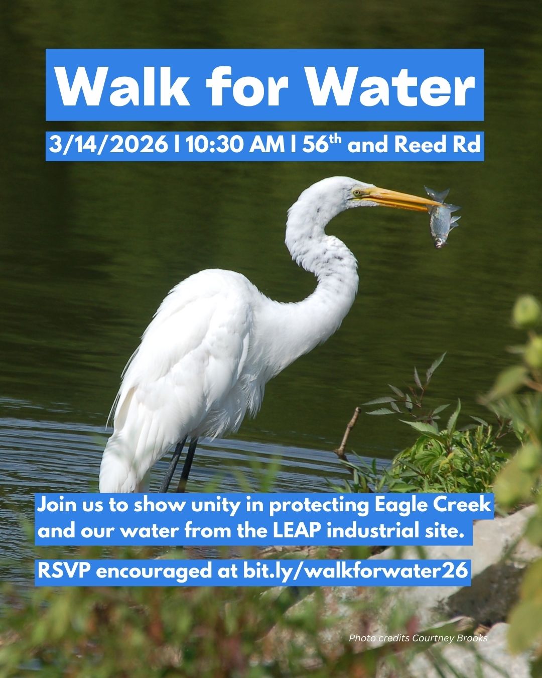 Insgtram LEAP + ATC Post (8).jpg