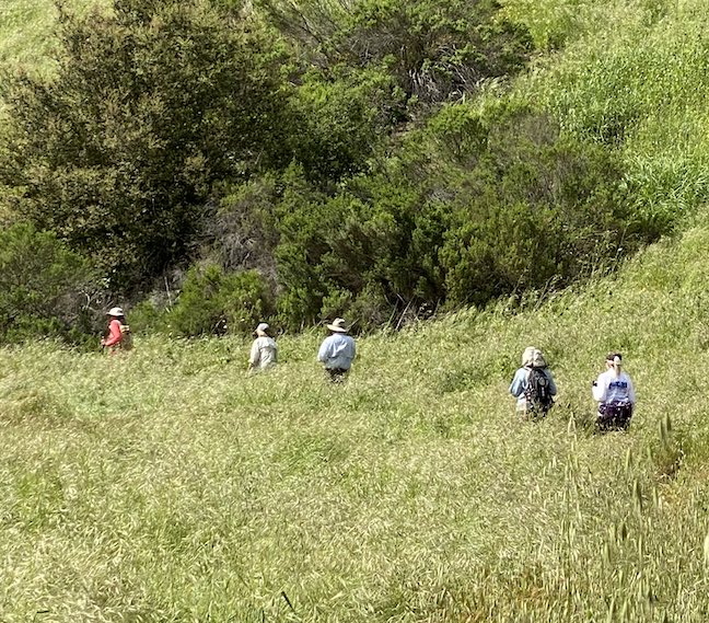 Hikers on trail