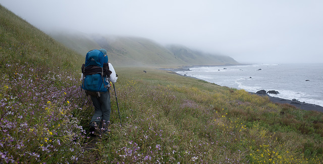 Lost Coast Trail