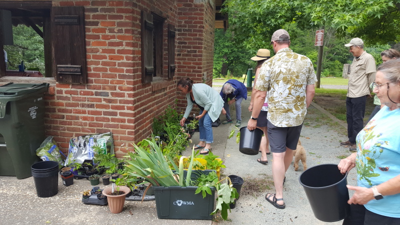 Plant Swap