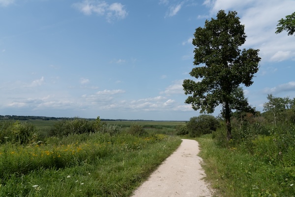Trail with  Vernon Marsh  in background