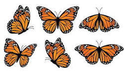 Monarch Butterfly Vector Art, Icons, and Graphics for Free ...