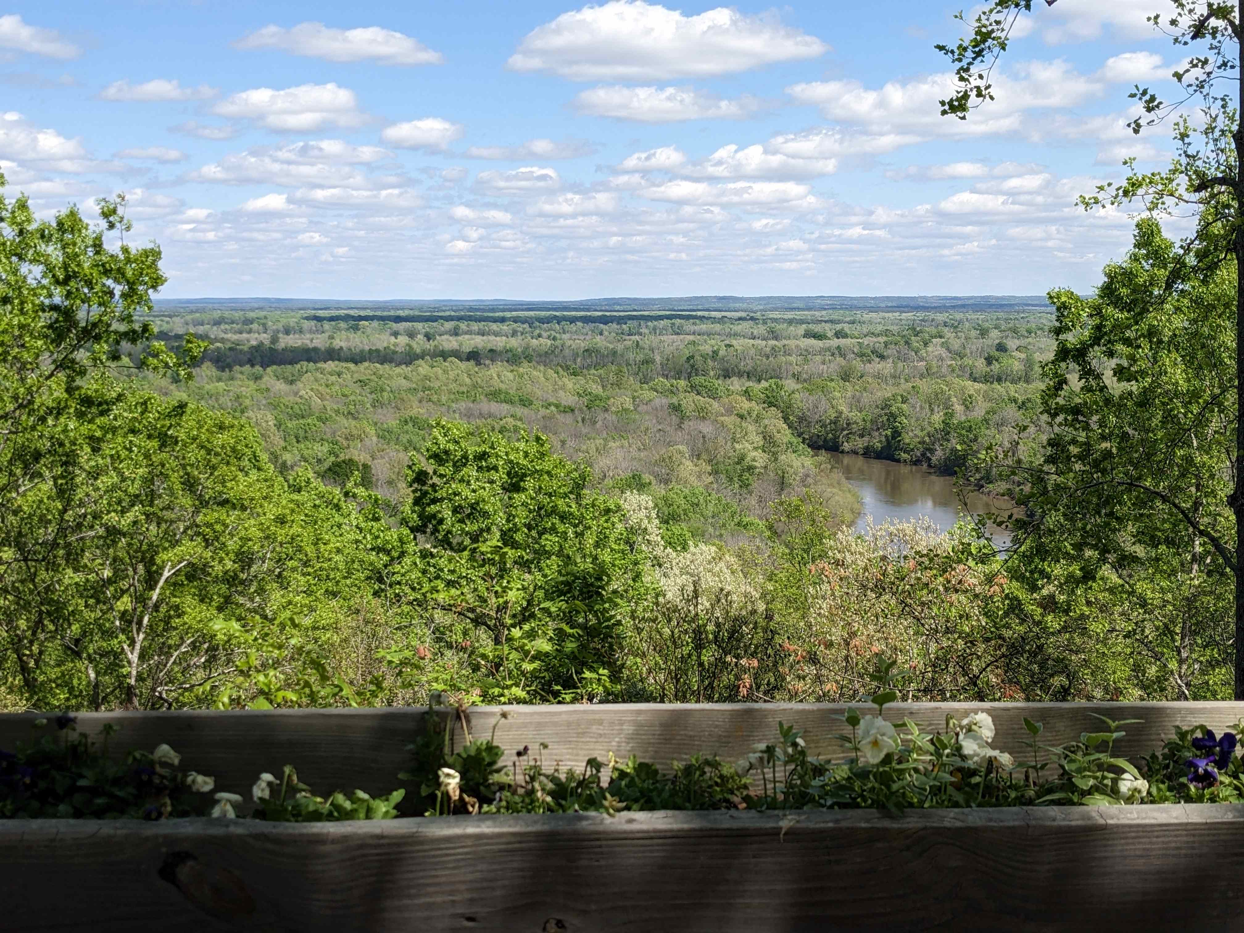 View from Cook's Mountain