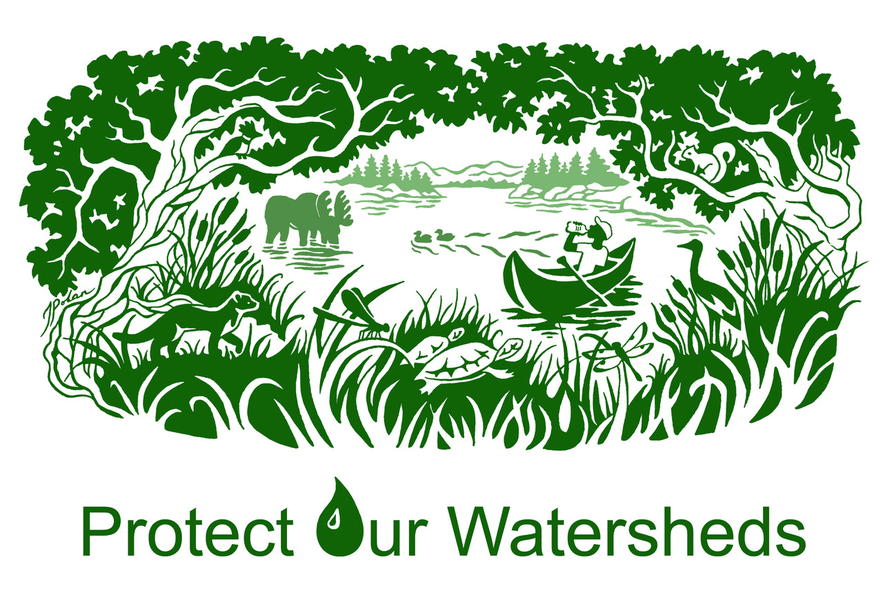 Art of watershed flora and fauna with the text Protect our watershed