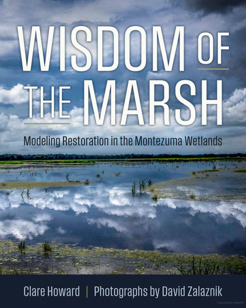 Wisdom of the Marsh book cover