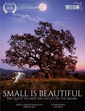 Poster for the film Small is Beautiful. Turtle Island Films, 2024. smallisbeautifulmovie.org