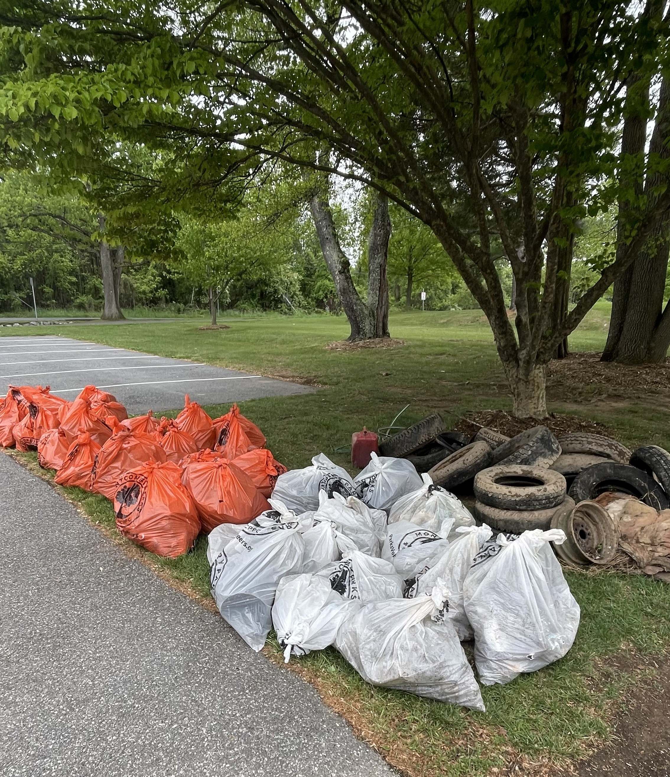 The results of a recent cleanup in this area!