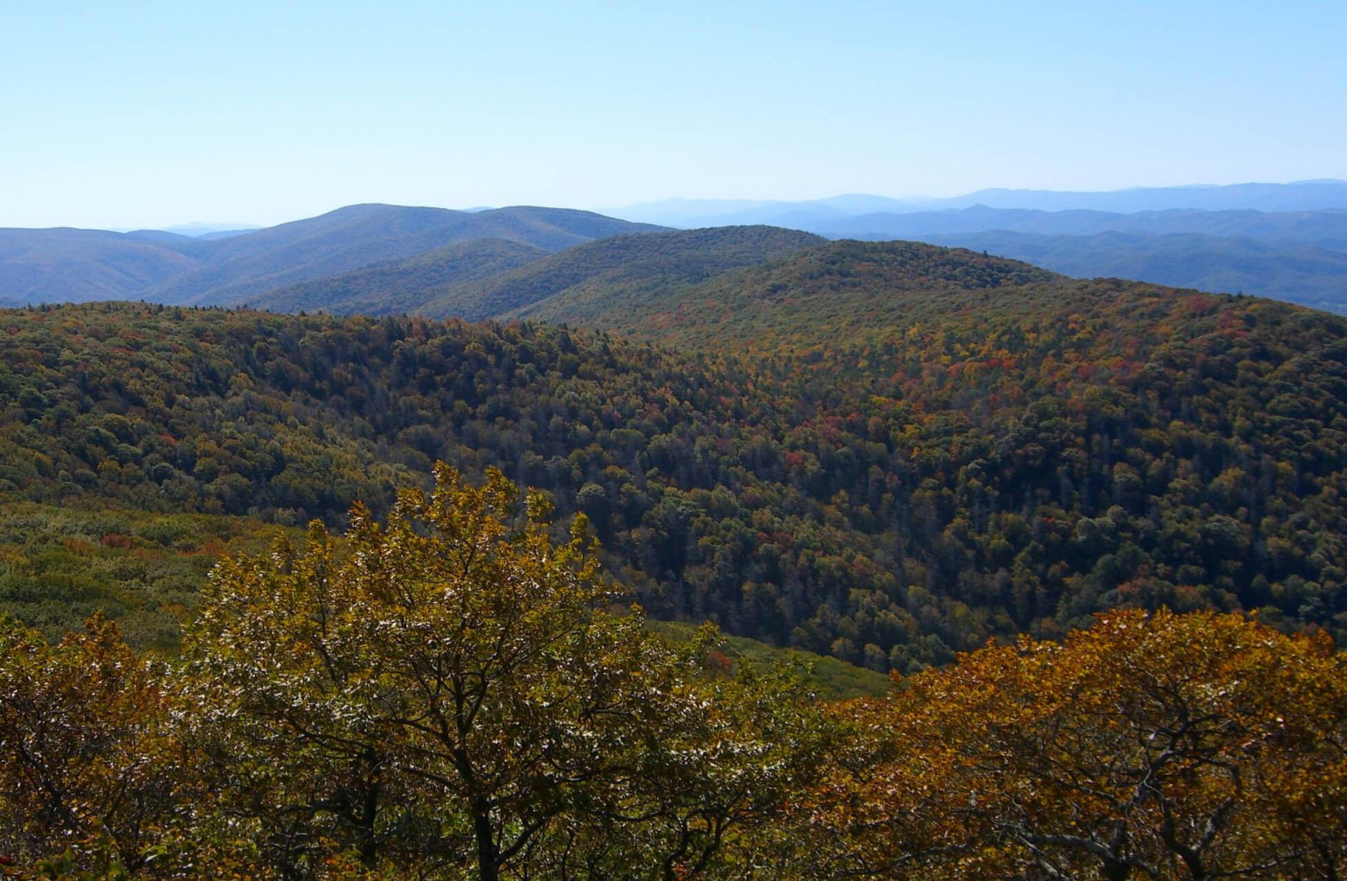 Crest of Shenandoah Mountain