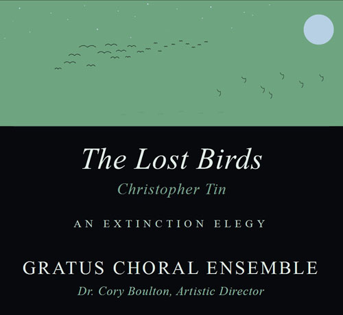 The Lost Birds flyer