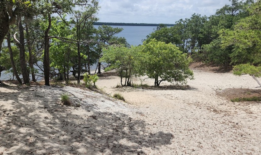 Sugarloaf Overlook