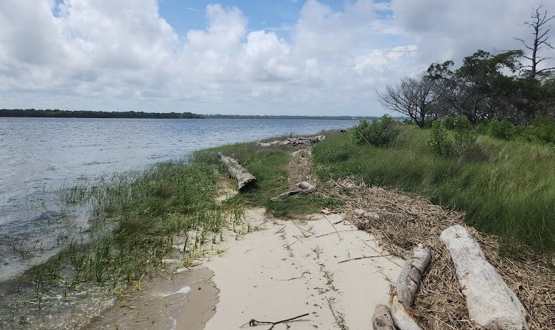 Cape Fear River