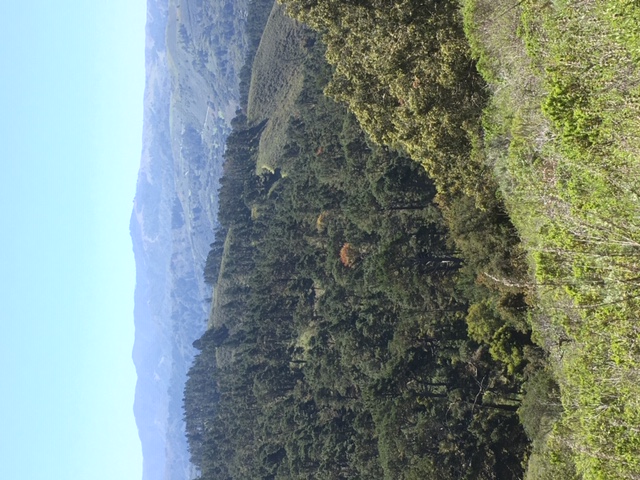 Ridges to the south