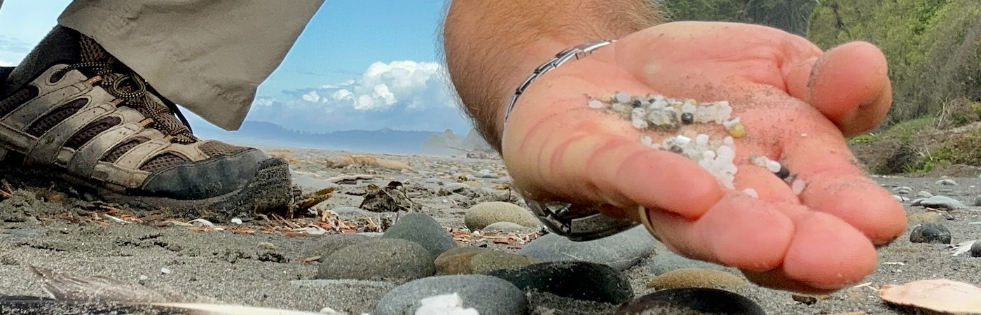 Plastic nurdles found at the beach
