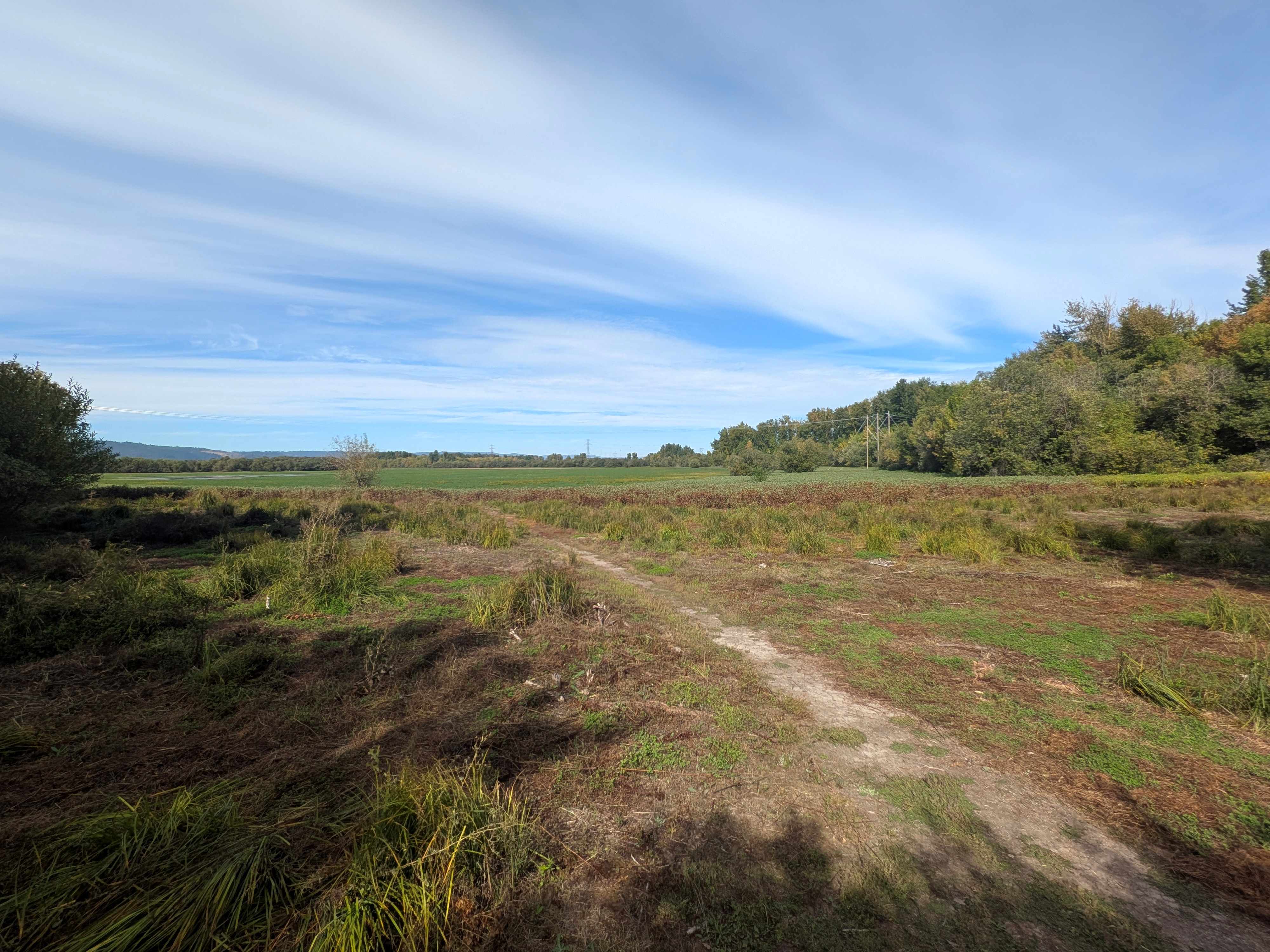 Photo of Smith & Bybee Wetlands
