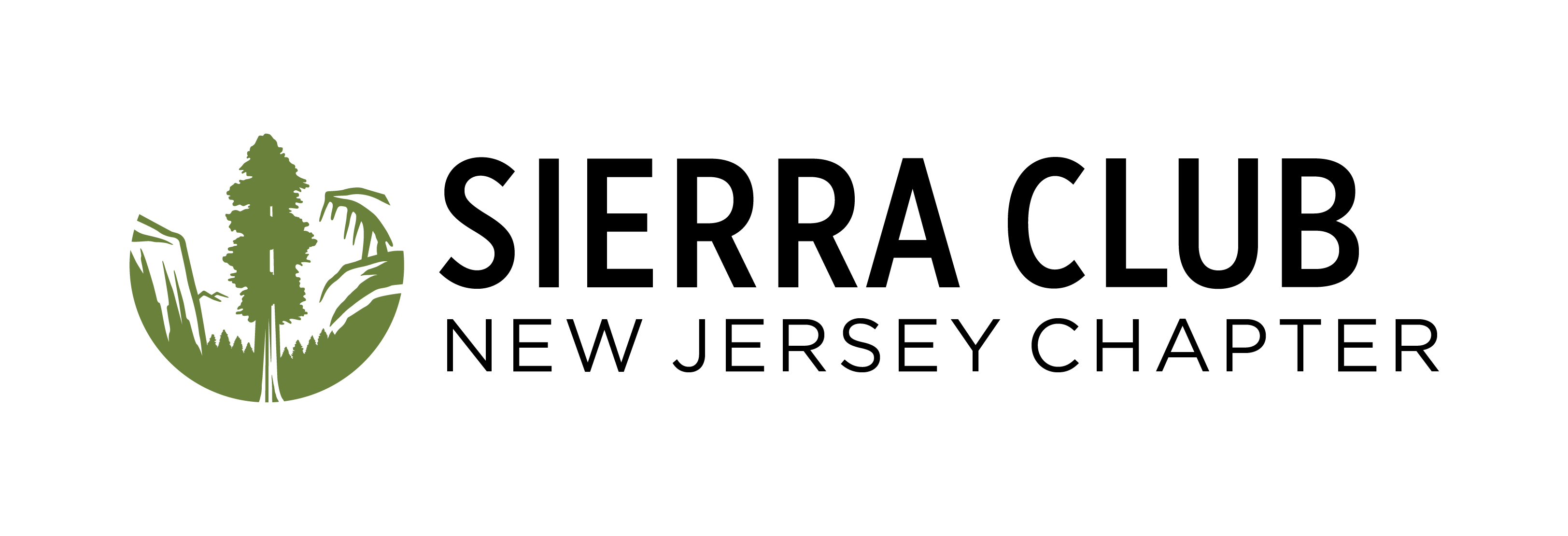 NJSC logo