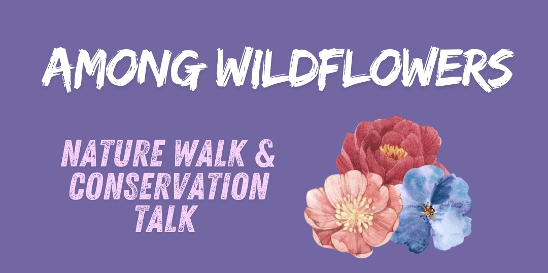 Among Wildflowers: Nature Walk and Conservation Talk