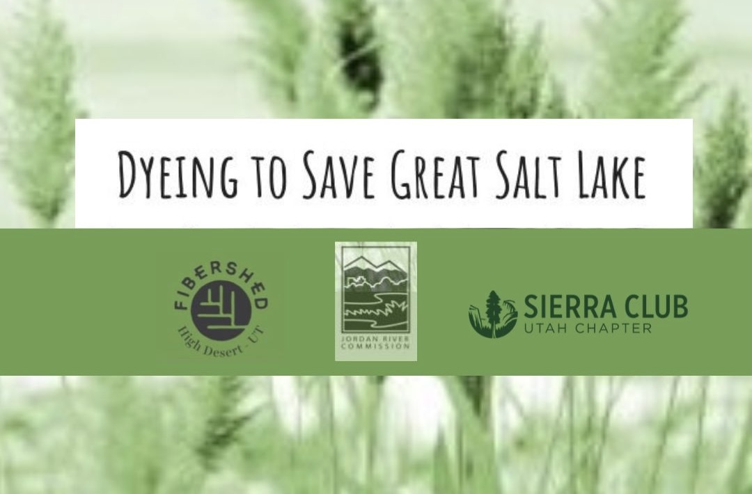 Dyeing to Save the Great Salt Lake Banner