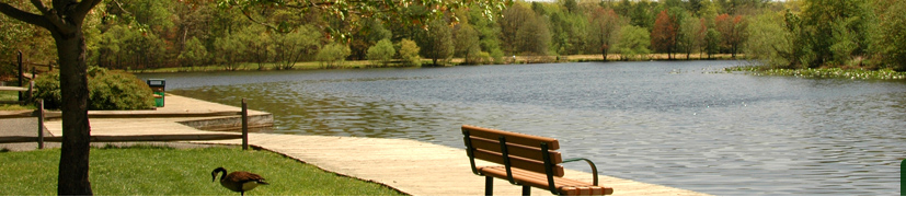 User-added image