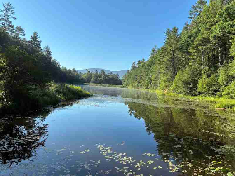 Braley Pond