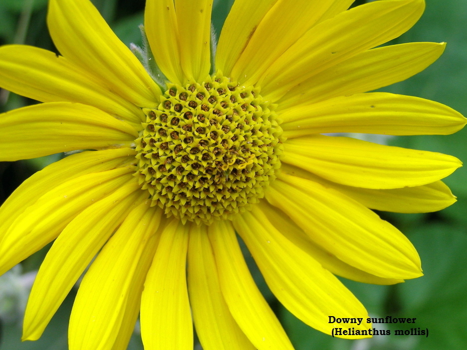 User-added image