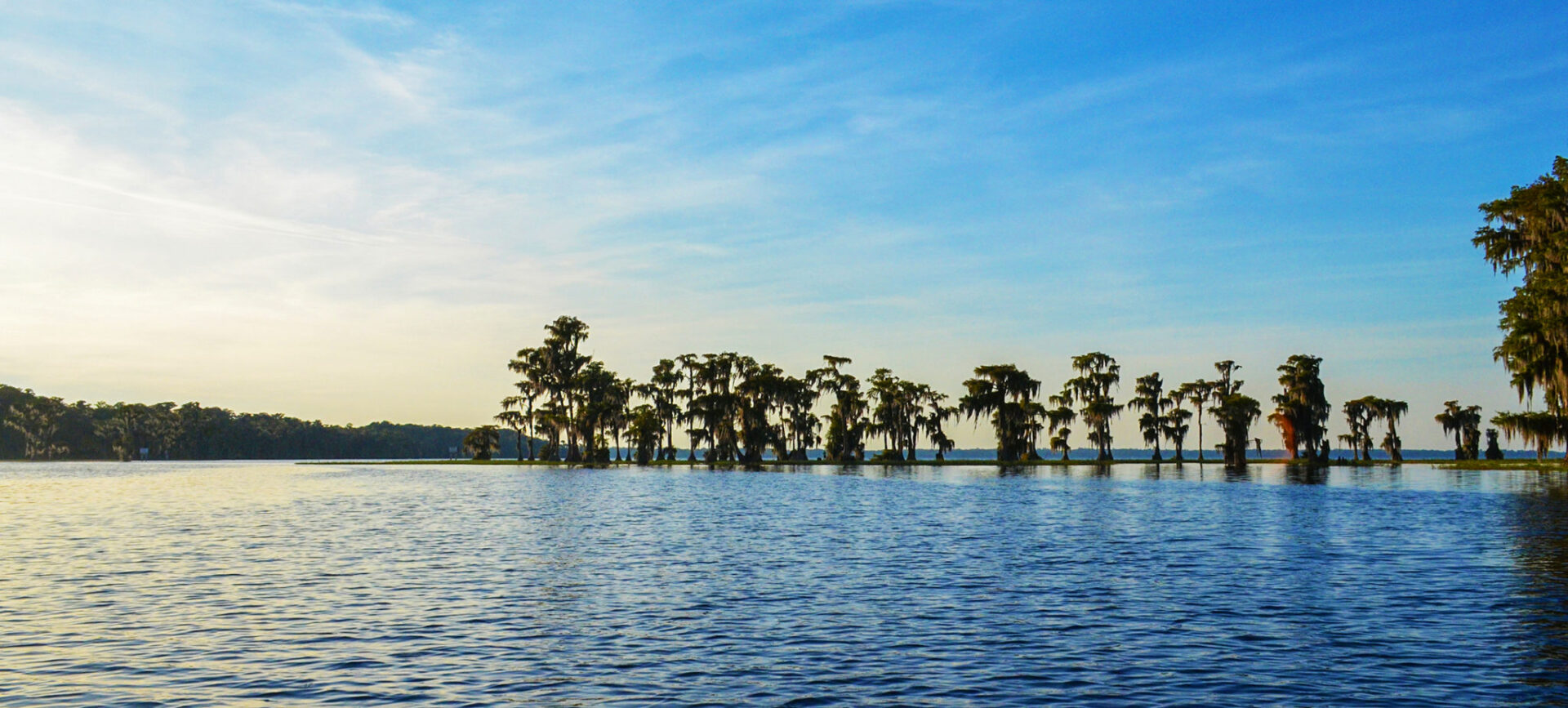 Photo of the Lake Santa Fe with cypress trees