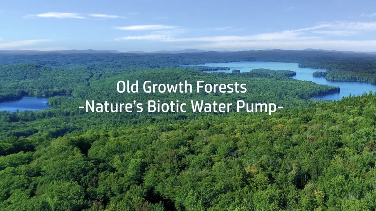 Expansive forests, water bodies, and sky with text overlaid that says Old Growth Forests Nature's Biotic Water Pump