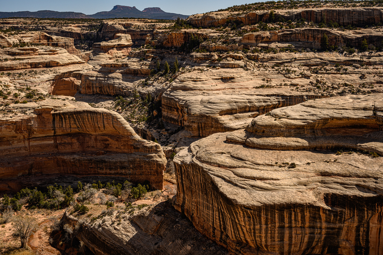Rock carved into curvy shapes in Utah