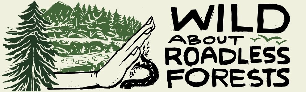 Wild About Roadless Forests with a drawing of a big hand blocking a road into a drawn forest