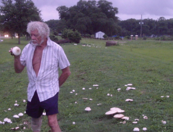 Person examining a mushroom