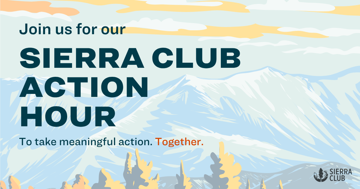 Join us for our August Action Hour