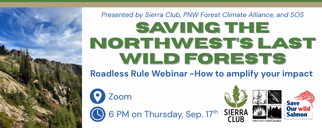 Saving Our Last Wild Forests in the Northwest- A Roadless Webinar on September 17th at 6 PM, title card with picture of Washington Pass Roadless area showing larches in the spring.