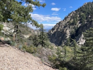 Viewpoint, Middle Fork Lytle Creek